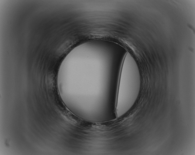 X0000093420455200710120900