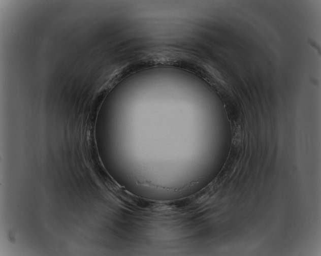 X0000093420456200710120900