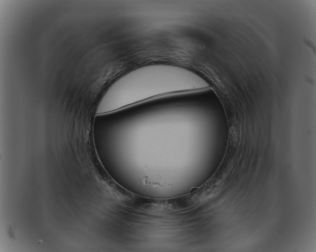 X0000093420458200710120900