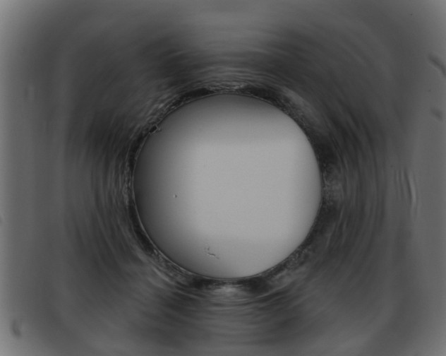 X0000093420460200710120900