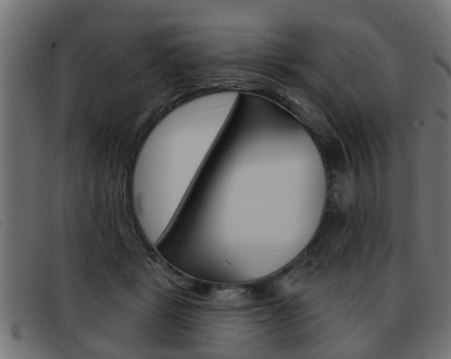 X0000093420461200710120900