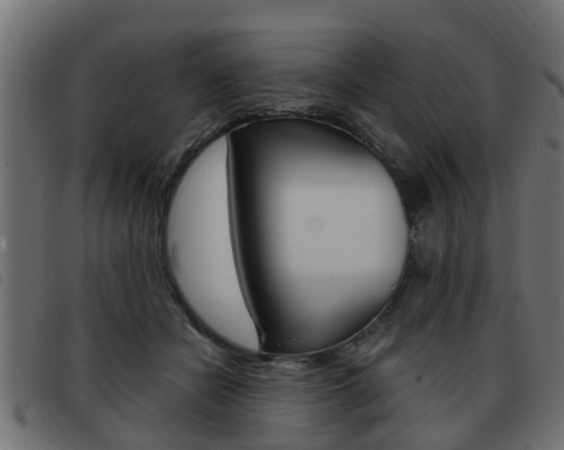 X0000093420462200710120900