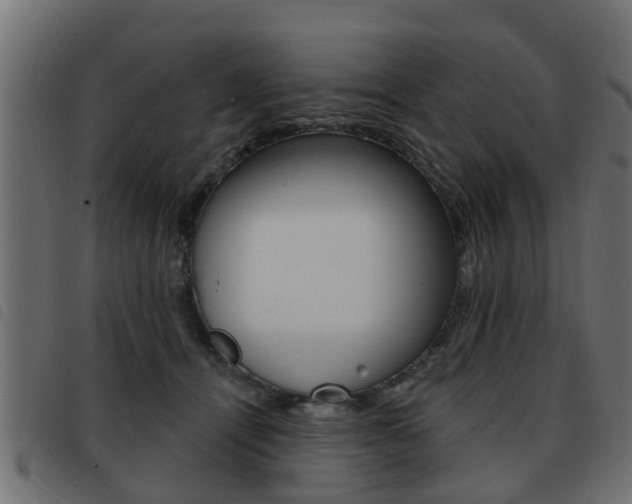 X0000093420464200710120900