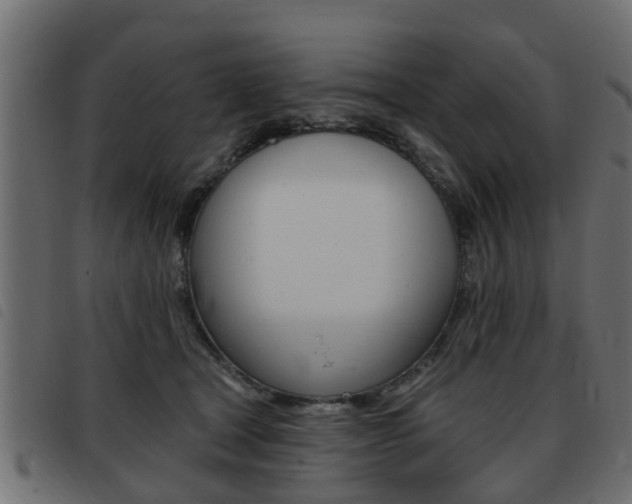 X0000093420465200710120900
