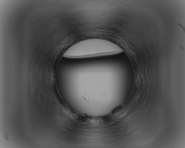 X0000093420466200710120900