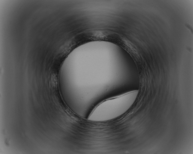 X0000093420467200710120900
