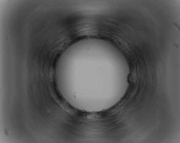 X0000093420468200710120900