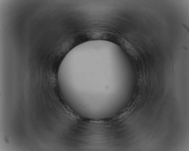 X0000093420469200710120900