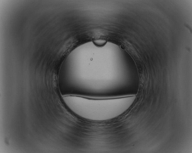X0000093420470200710120900