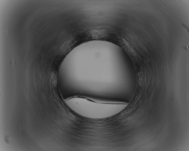 X0000093420471200710120900
