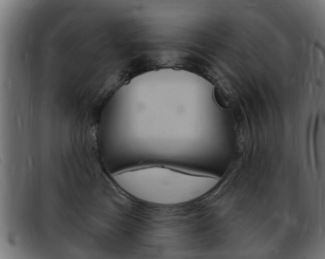 X0000093420473200710120900
