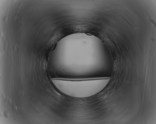 X0000093420474200710120900