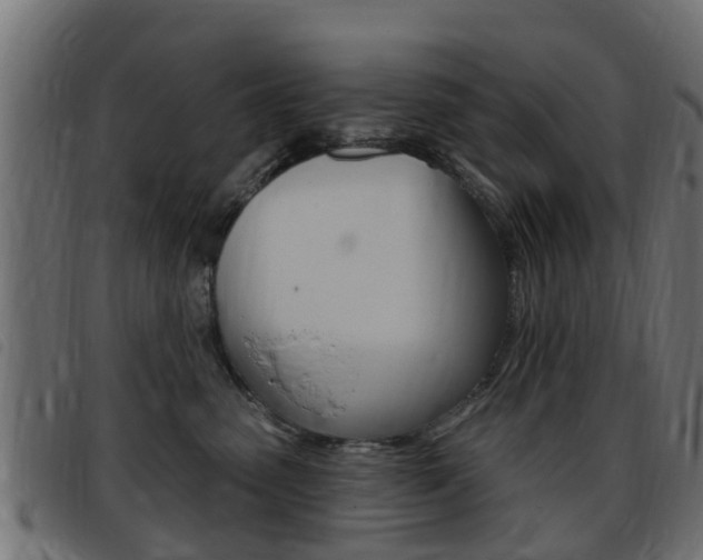 X0000093420475200710120900