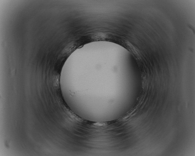 X0000093420477200710120900