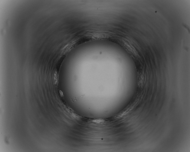 X0000093420478200710120900