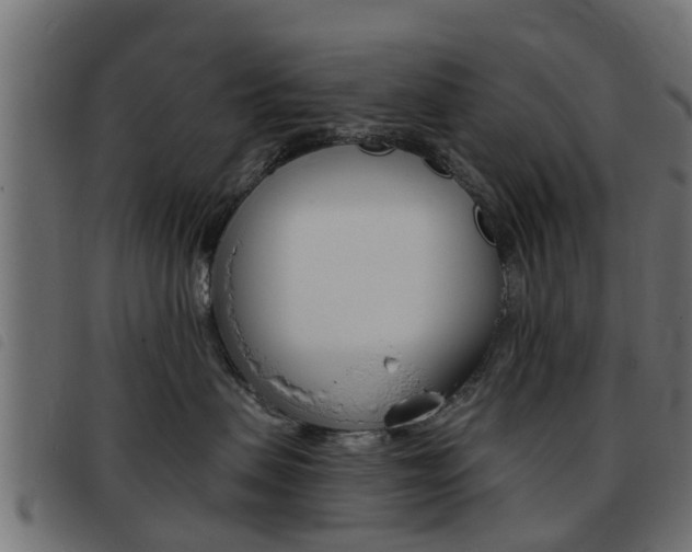 X0000093420479200710120900