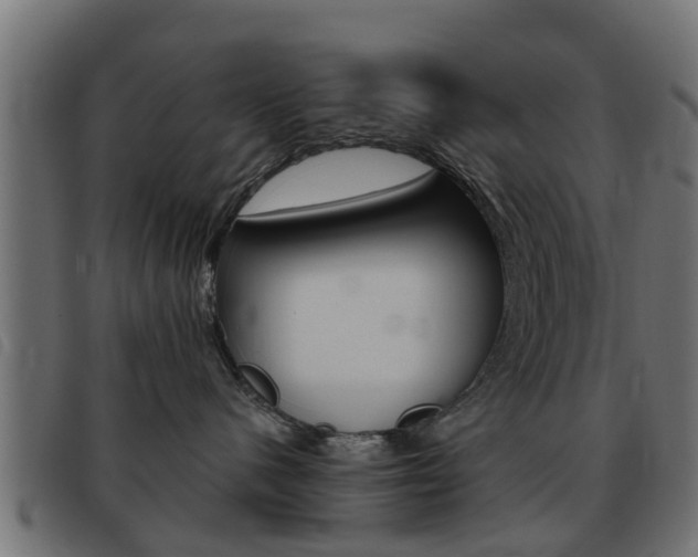 X0000093420480200710120900