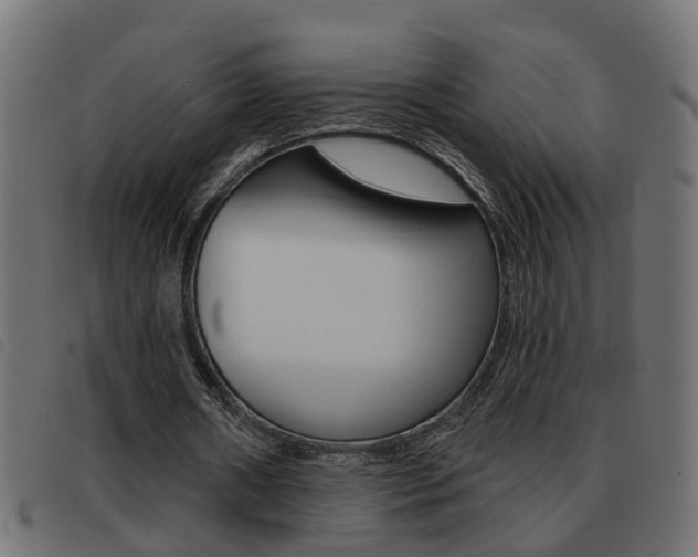 X0000093420482200710120900