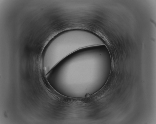 X0000093420483200710120900