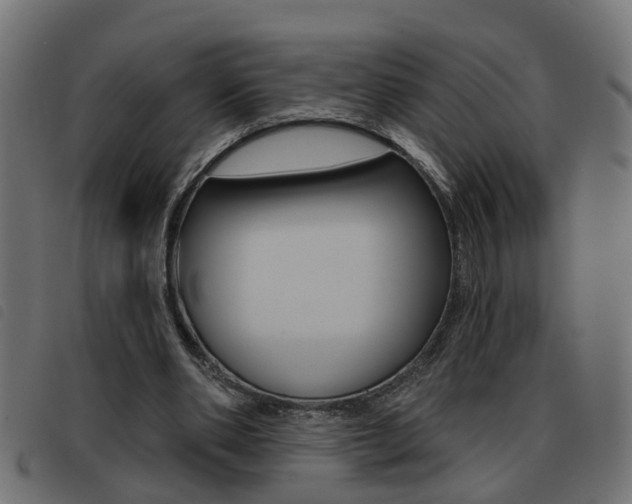 X0000093420486200710120900