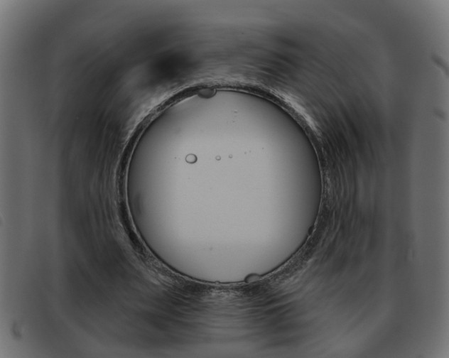 X0000093420487200710120900