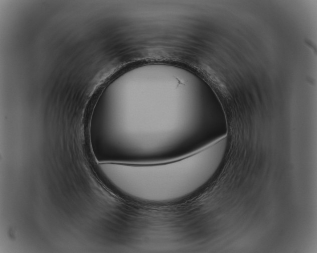 X0000093420488200710120900