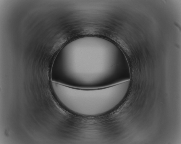 X0000093420489200710120900