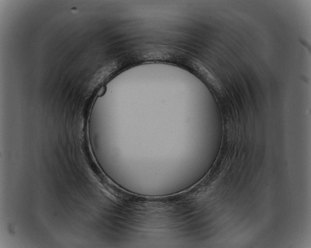 X0000093420490200710120900