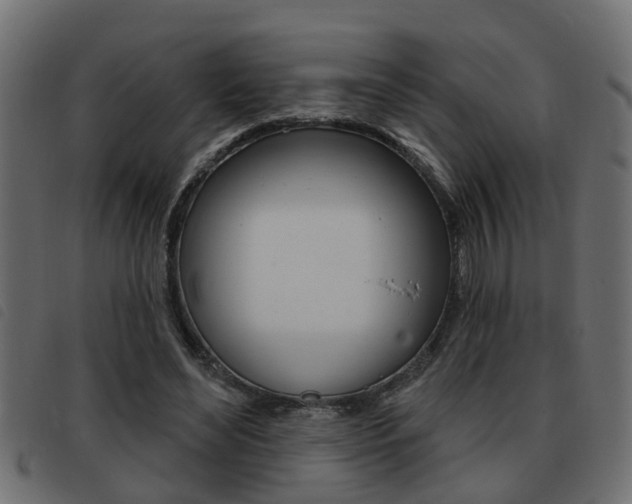 X0000093420492200710120900