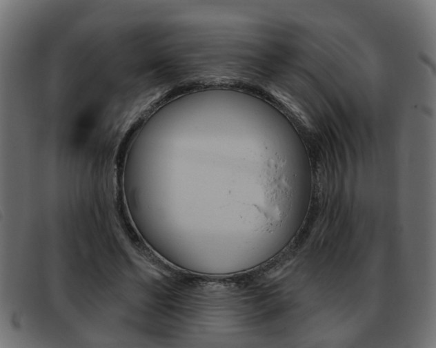 X0000093420494200710120900