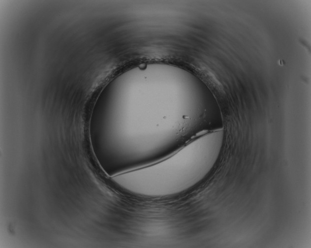 X0000093420496200710120859