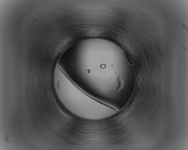 X0000093420497200710120859