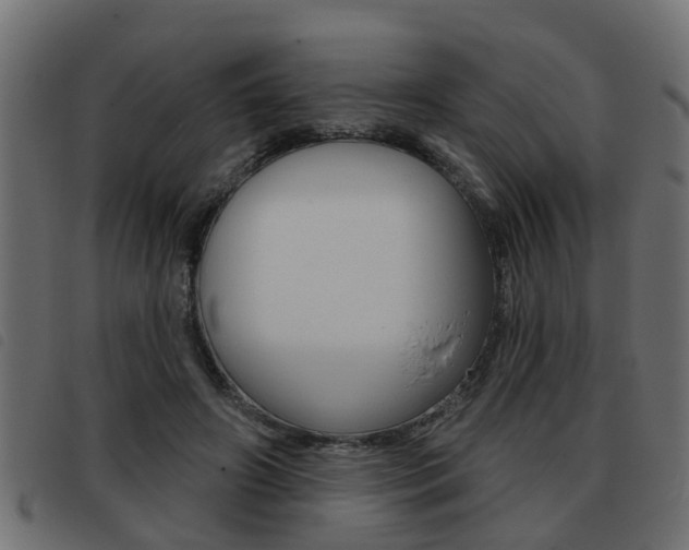 X0000093420498200710120859