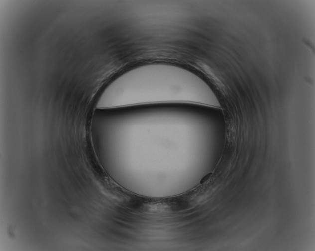 X0000093420500200710120859