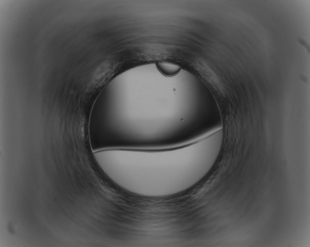 X0000093420501200710120859