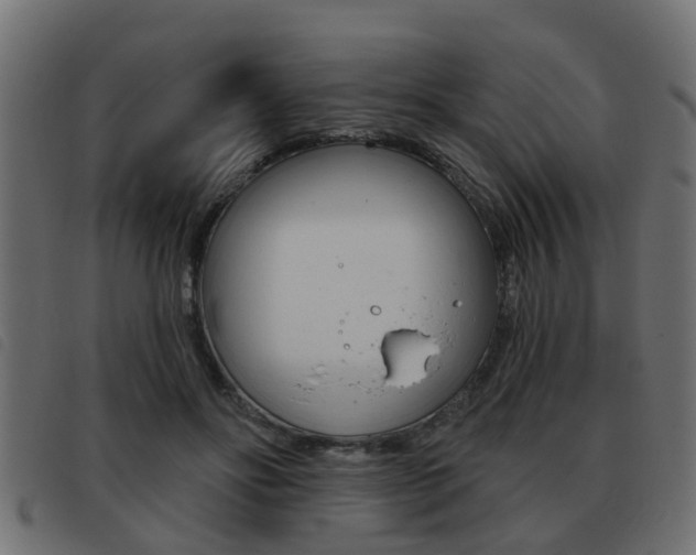 X0000093420502200710120859