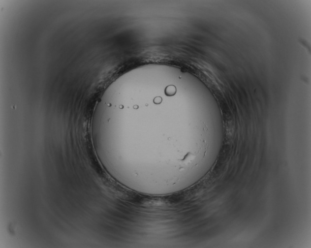 X0000093420503200710120859