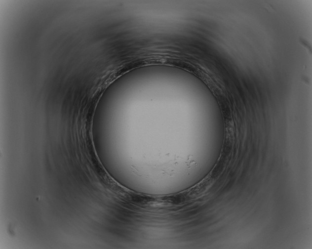 X0000093420504200710120859