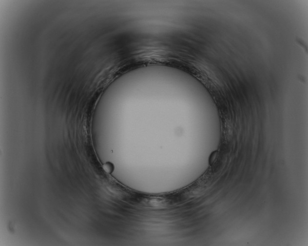 X0000093420506200710120859