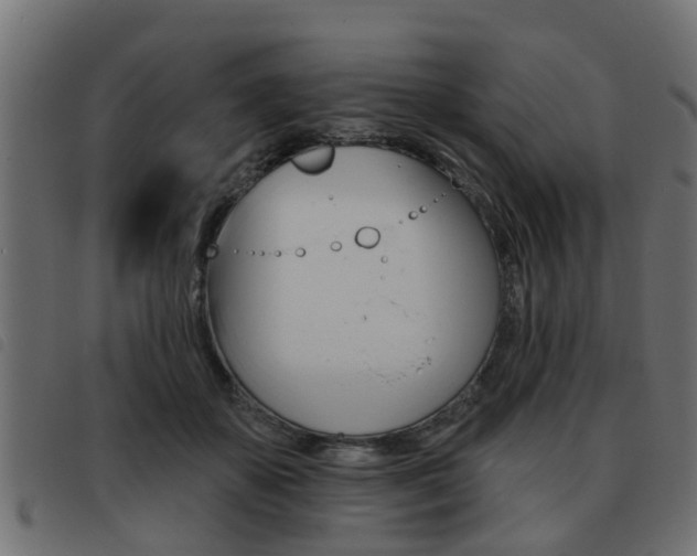 X0000093420507200710120859