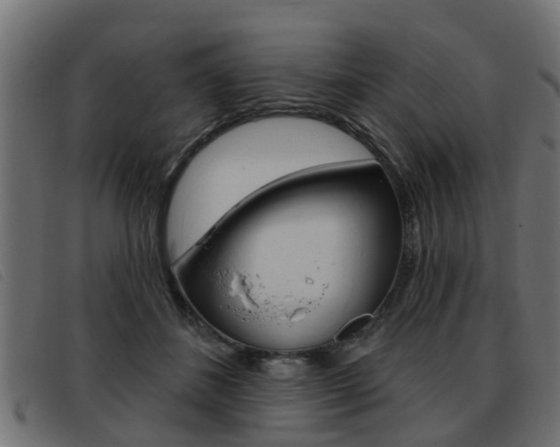 X0000093420508200710120859
