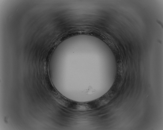 X0000093420510200710120859