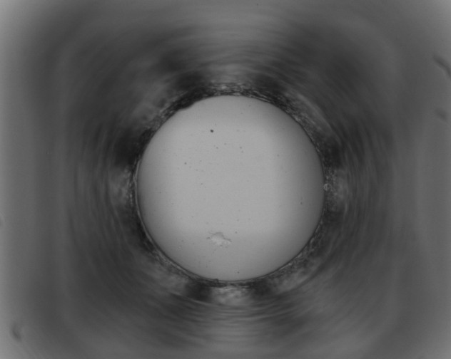 X0000093420511200710120859