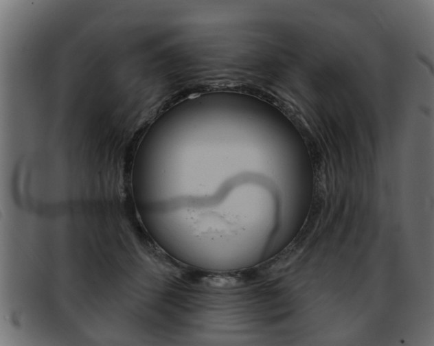 X0000093420512200710120859