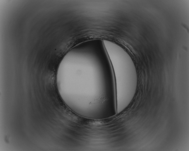 X0000093420513200710120859