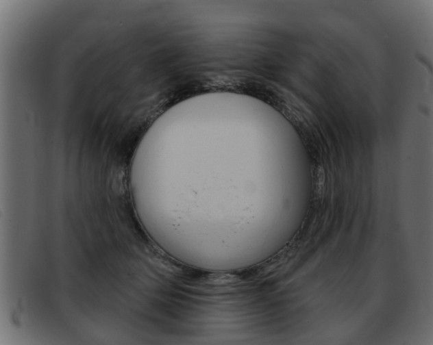 X0000093420514200710120859