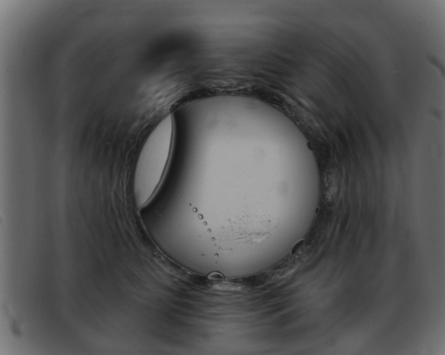 X0000093420515200710120859