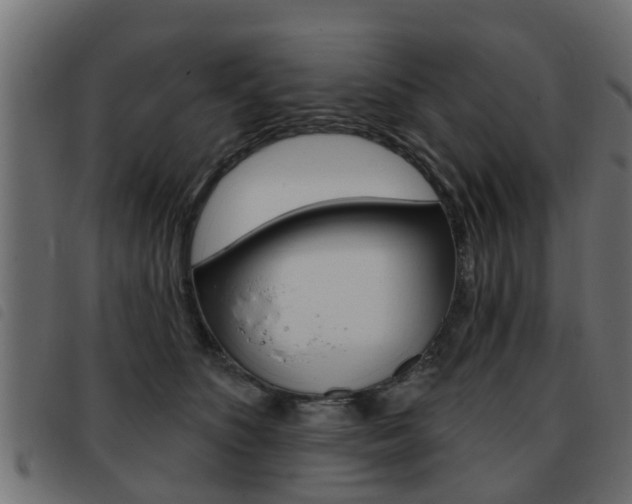 X0000093420516200710120859