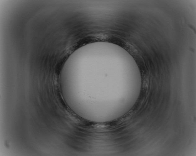 X0000093420518200710120859