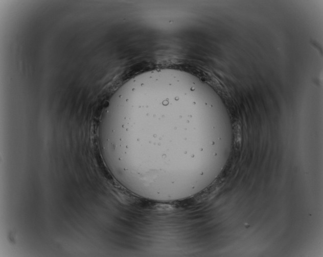 X0000093420519200710120859